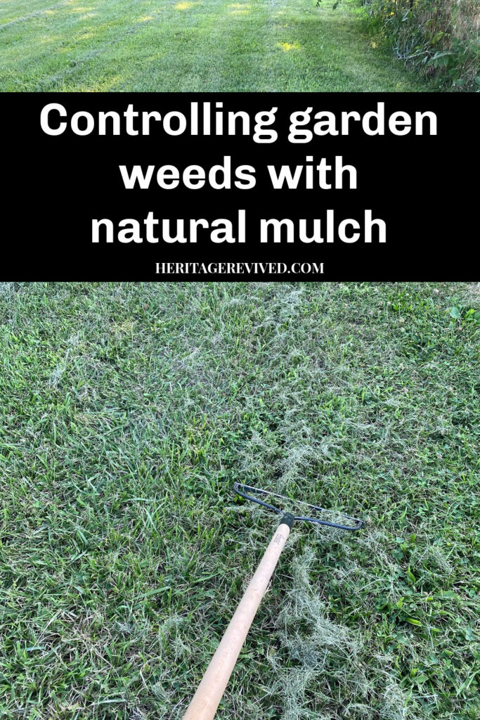 using mulch to prevent garden weeds
