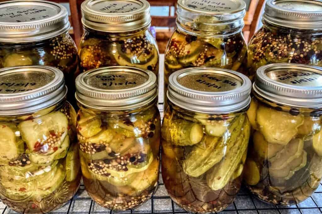 Homemade canned pickles cooling on countertop
