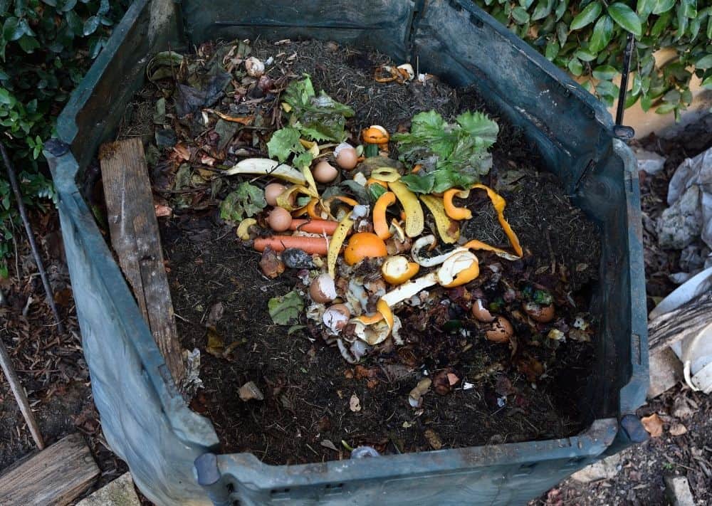 Image of compost bin- taking steps toward self sufficient yard.