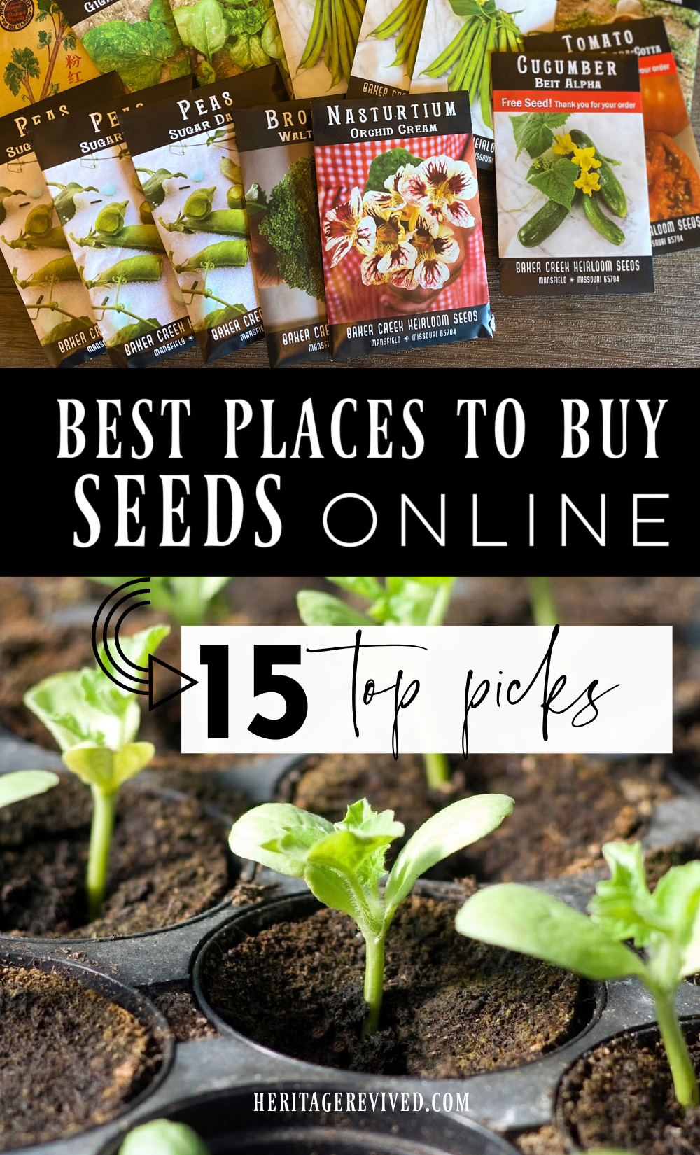 Graphic with picture of seed packets and seedlings, with text overlay "Best places to buy seeds online -- 15 top picks"
