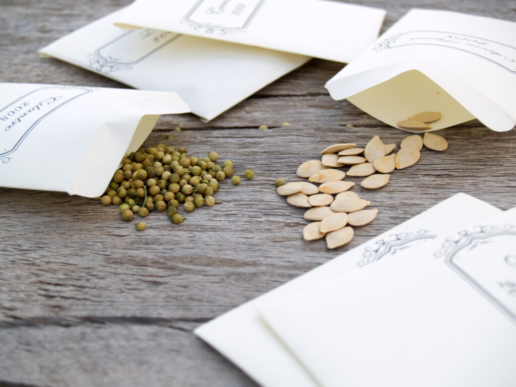 Image of white seed packets with seeds spilling out on a wooden table.