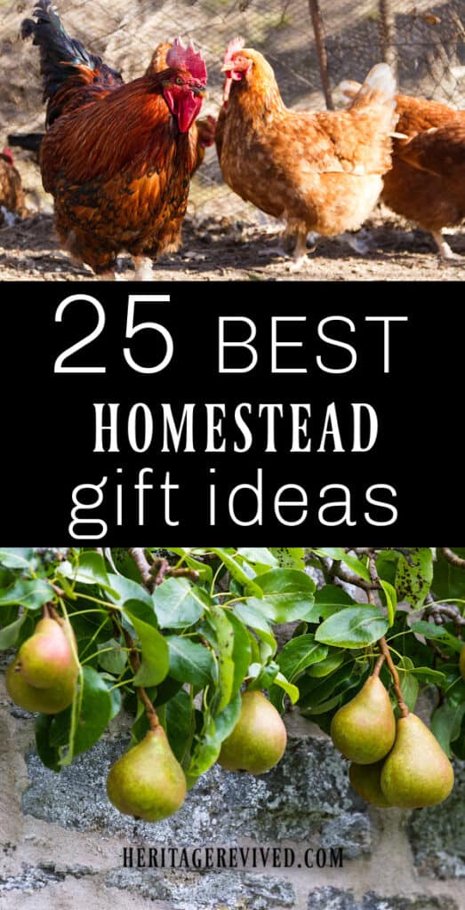 Image of chickens on top of collage, with image of pears on a pear tree below, with text in between "25 Best Homestead gift ideas"