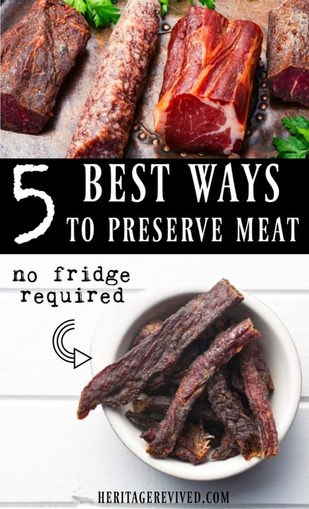 graphic image with cured meats on top, dehydrated meats on the bottom, with text in between "5 best ways to preserve meat- no fridge required" 