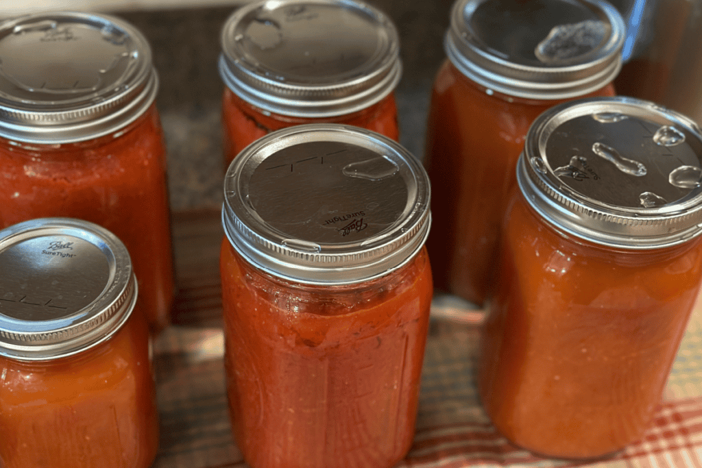 Canned tomato sauce in sealed jars just out of the canner.