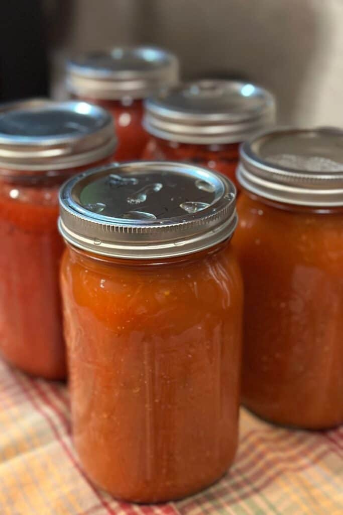 Several quarts of tomato sauce just canned, cooling on a dish towel on kitchen counter.