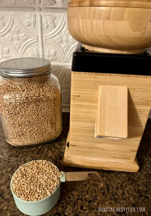 Nutrimill harvest grain mill with a cup of grain on a dark granite countertop and a full glass container of grain beside it.