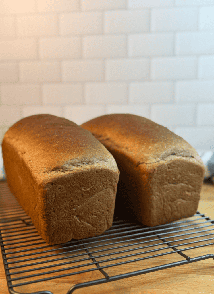 Two large, tall loaves of bread made with hard red wheat.