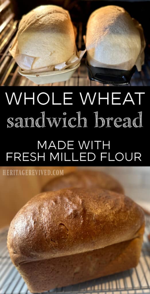 Two bread loaves rising in oven, with finished baked loaves below and text "Whole wheat sandwich bread made with fresh milled flour"