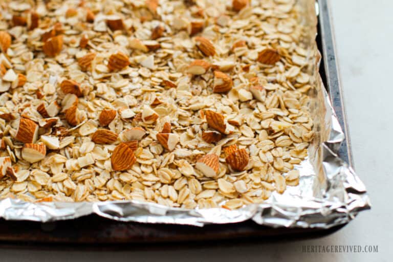 Maple syrup granola bars (with dried fruit and chocolate) Heritage