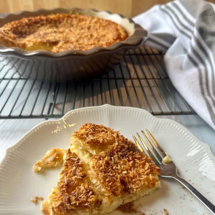Coconut custard pie on a white plate with stoneware pie dish and rest of pie in the background