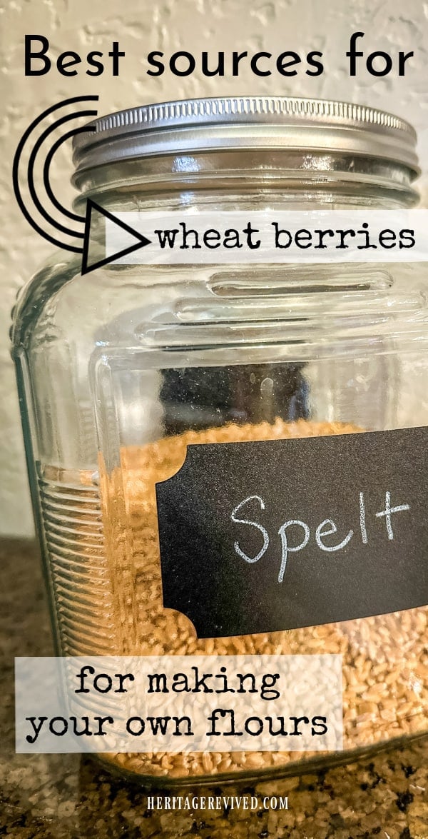 Where to Buy Wheat Berries for Bread Making (Best sources) Heritage