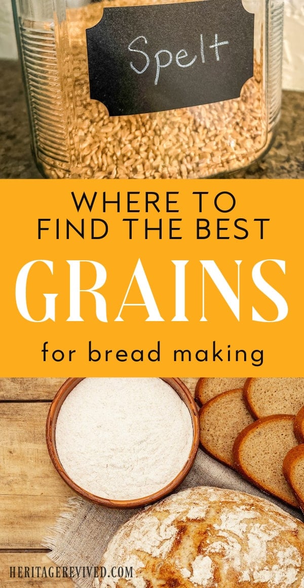 Where to Buy Wheat Berries for Bread Making (Best sources) Heritage