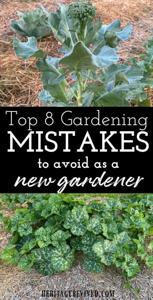 Vertical graphic with image of brocolli plant and squash plant below with text "Top 8 Gardening Mistakes to avoid as a new gardener"