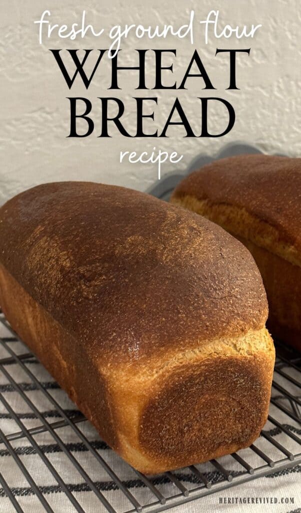 two loaves of baked wheat bread with text "fresh ground flour wheat bread recipe"