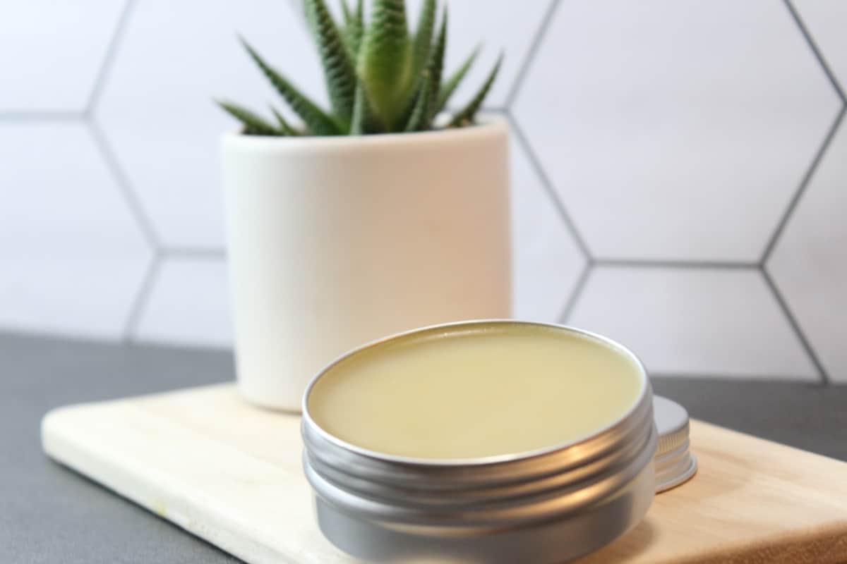 Finished salve in a tin with aloe plant in background.