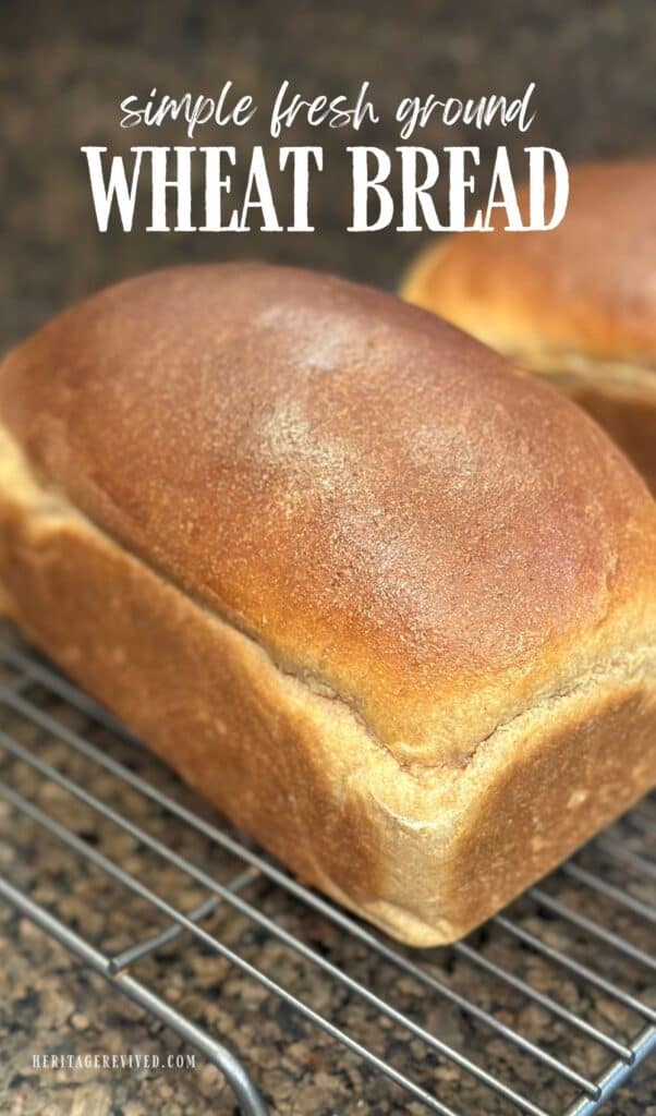 Vertical graphic with image of fresh baked wheat bread with text overlay "Simple fresh ground wheat bread"