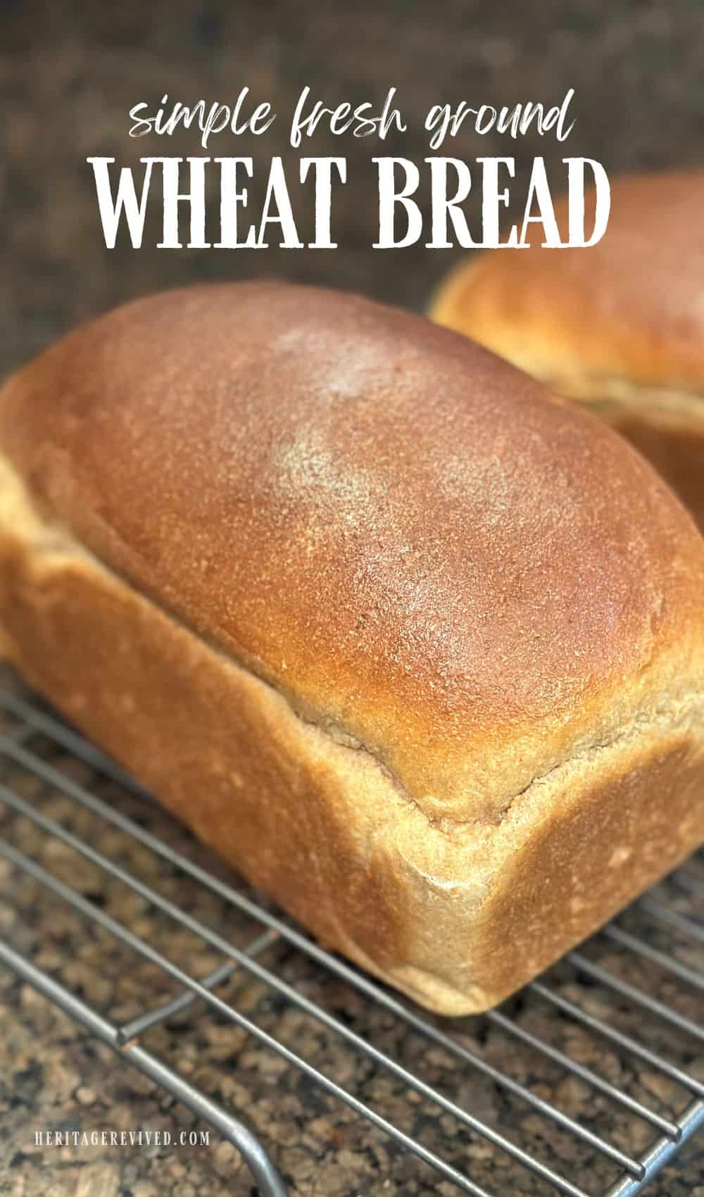 Fresh Milled Flour Bread Recipe (Perfect Sandwich Loaf!) Heritage revived