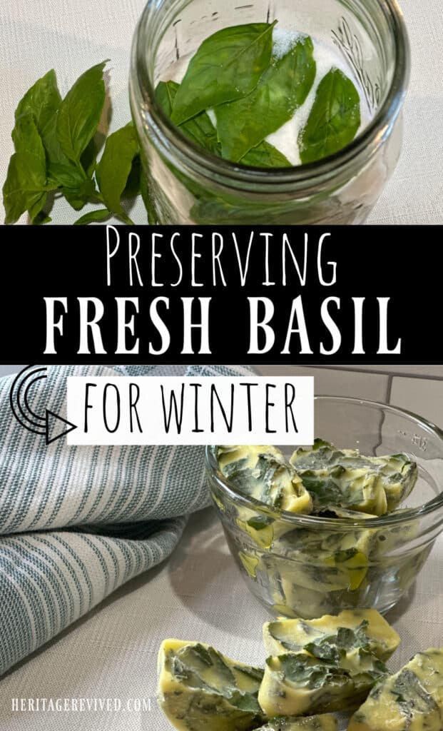 Image of basil in salt and basil preserved in oil, with text "Preserving fresh basil for winter"