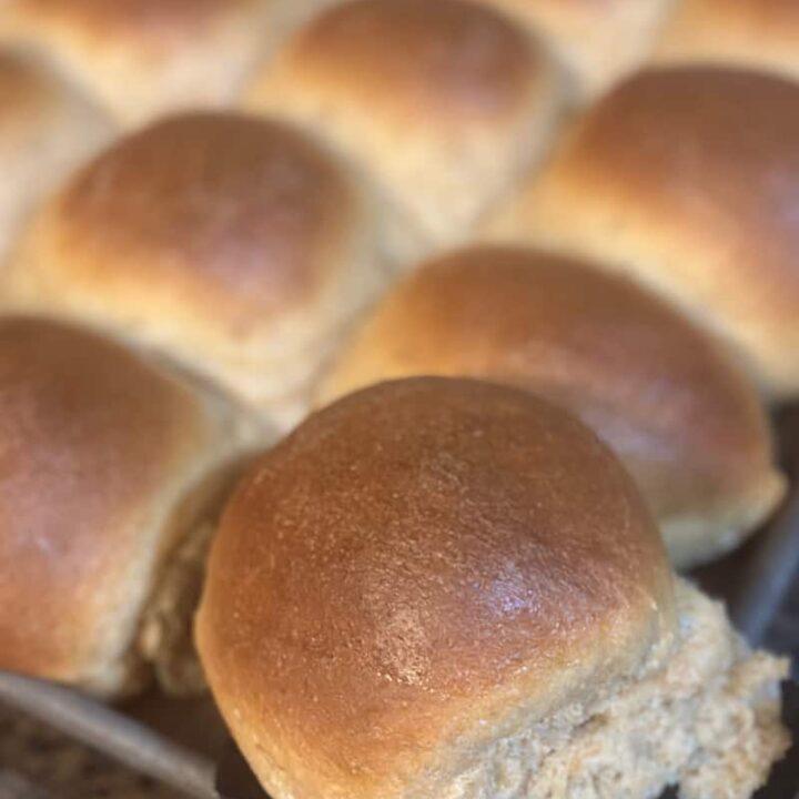 Whole Wheat Dinner Rolls -with Fresh Milled Flour