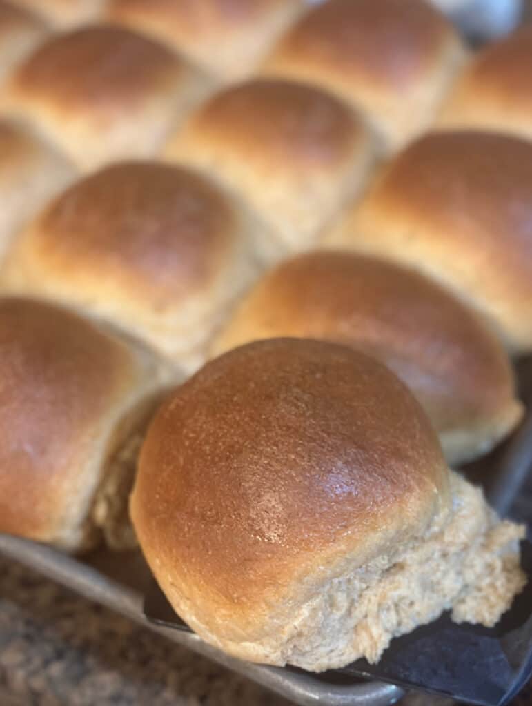 Finished whole wheat dinner rolls with one roll lifted from pan on spatula.