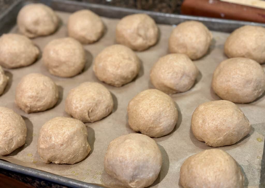 whole wheat dinner rolls on parchment paper on baking sheet, ready to rise.