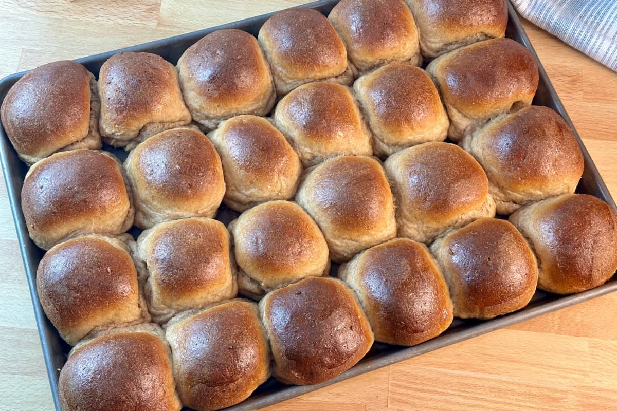 Whole wheat rolls on baking sheet.