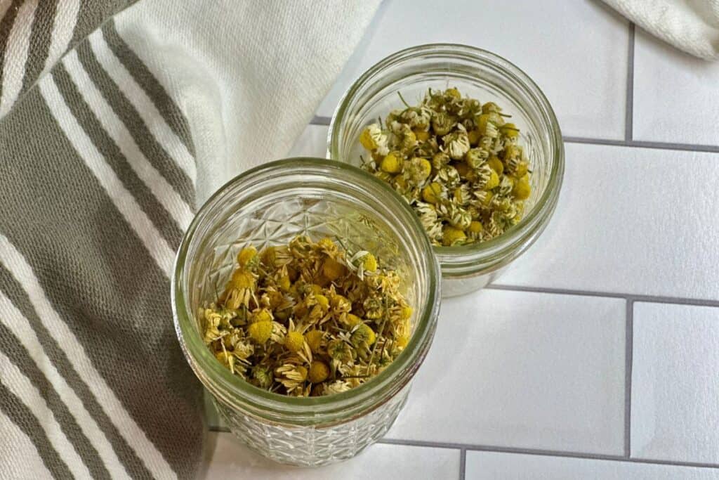 Two glass jars of dried chamomile flowers from author's garden, on a white tiled background.