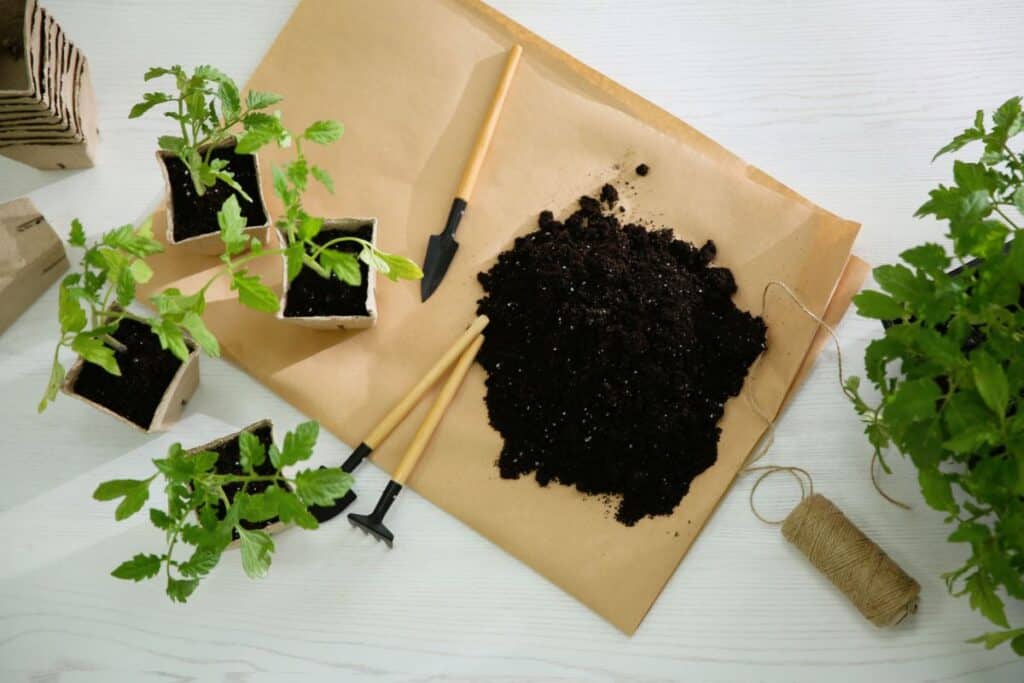Soil, tools and seedlings -preparing to plant.