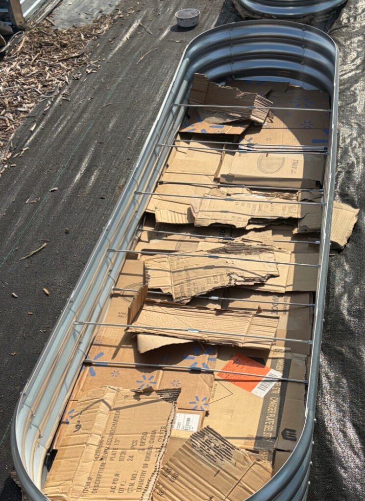 Long metal raised garden bed with torn up cardboard on bottom layer.