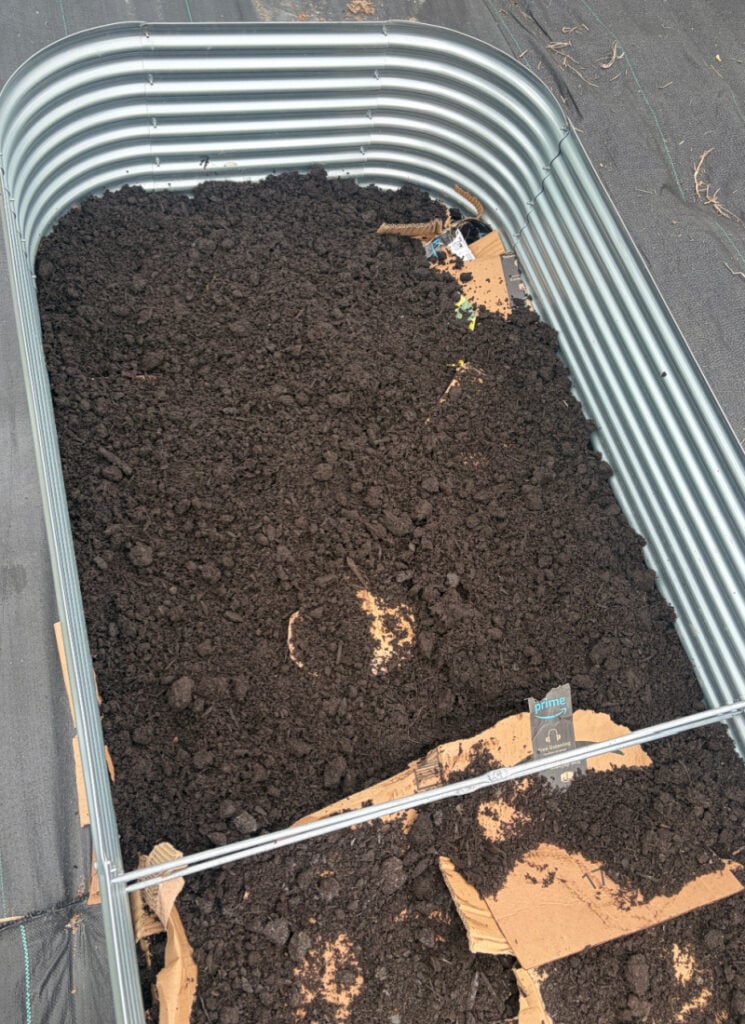 Large raised bed with a layer of soil over cardboard.