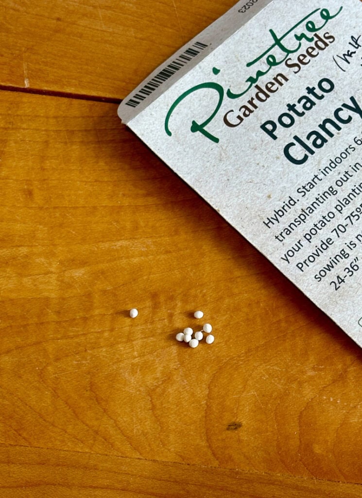 Clancy potato seeds on a wooden tabletop.