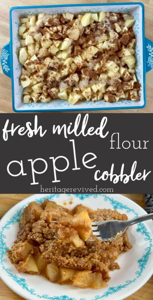 Graphic with image of apples in baking dish and then finished cobbler served on a dessert plate, with text "Fresh milled flour apple cobbler"