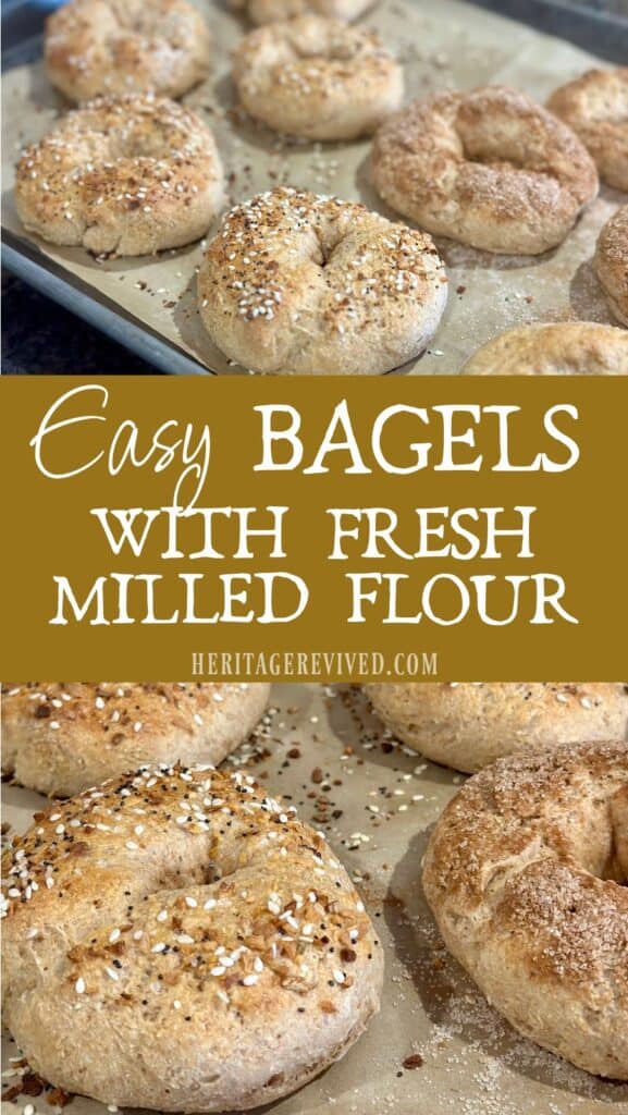 Vertical graphic with 2 images of bagels and text "easy bagels with fresh milled flour"