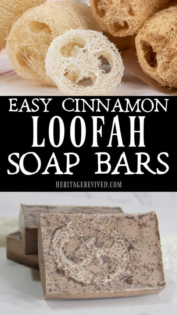 Graphic with image of dried luffah gourds and soap bars below, with text "Easy cinnamon loofah soap bars"