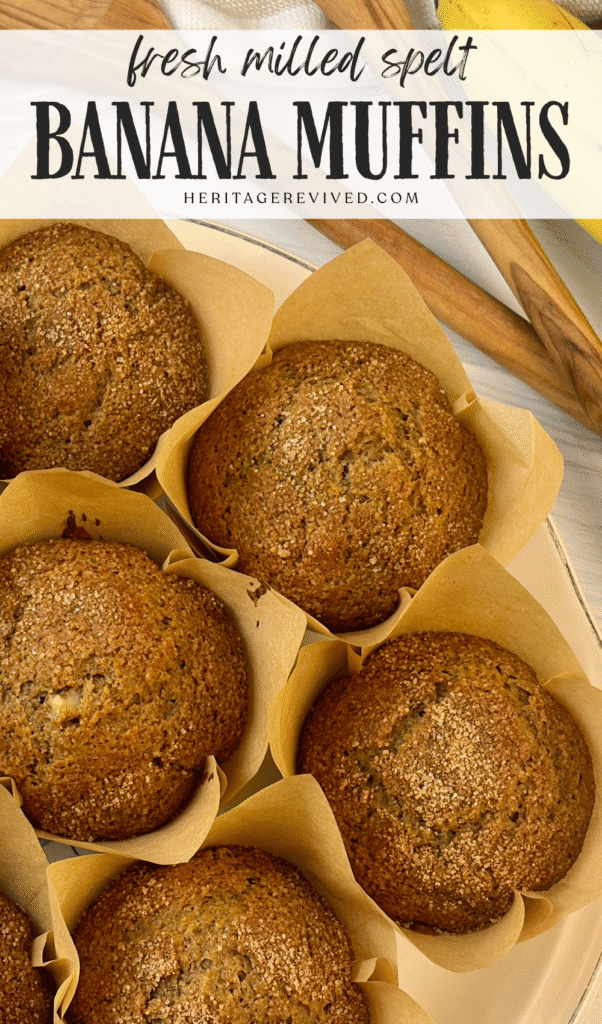 Closeup of muffins with text "fresh milled spelt banana muffins"