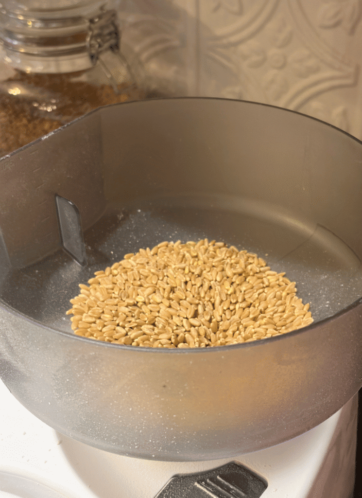 Milling grain in the Nutrimill Impact Mill.