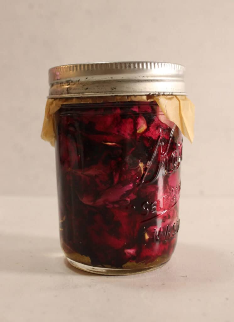 Rose petals infused in carrier oil in a small mason pint jar.