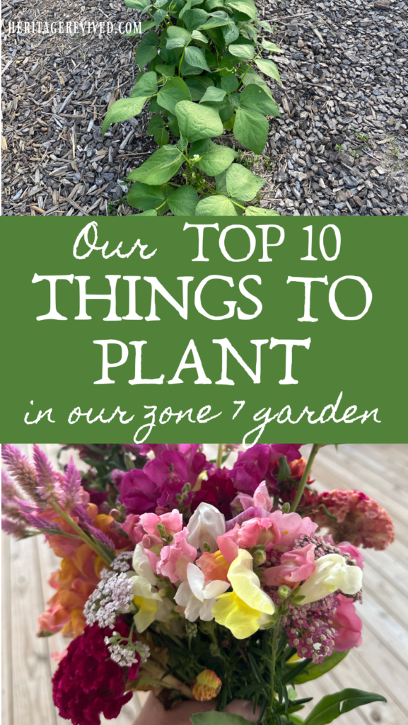 vertical graphic with green beans in garden and a bouquet of cut flowers and text "Our top 10 things to plant in our zone 7 garden"